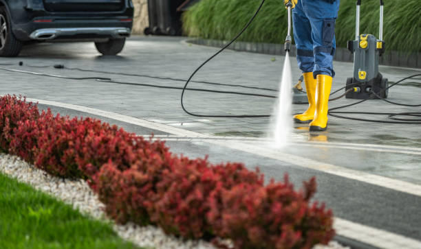 Best Sidewalk and Walkway Cleaning  in Yacolt, WA